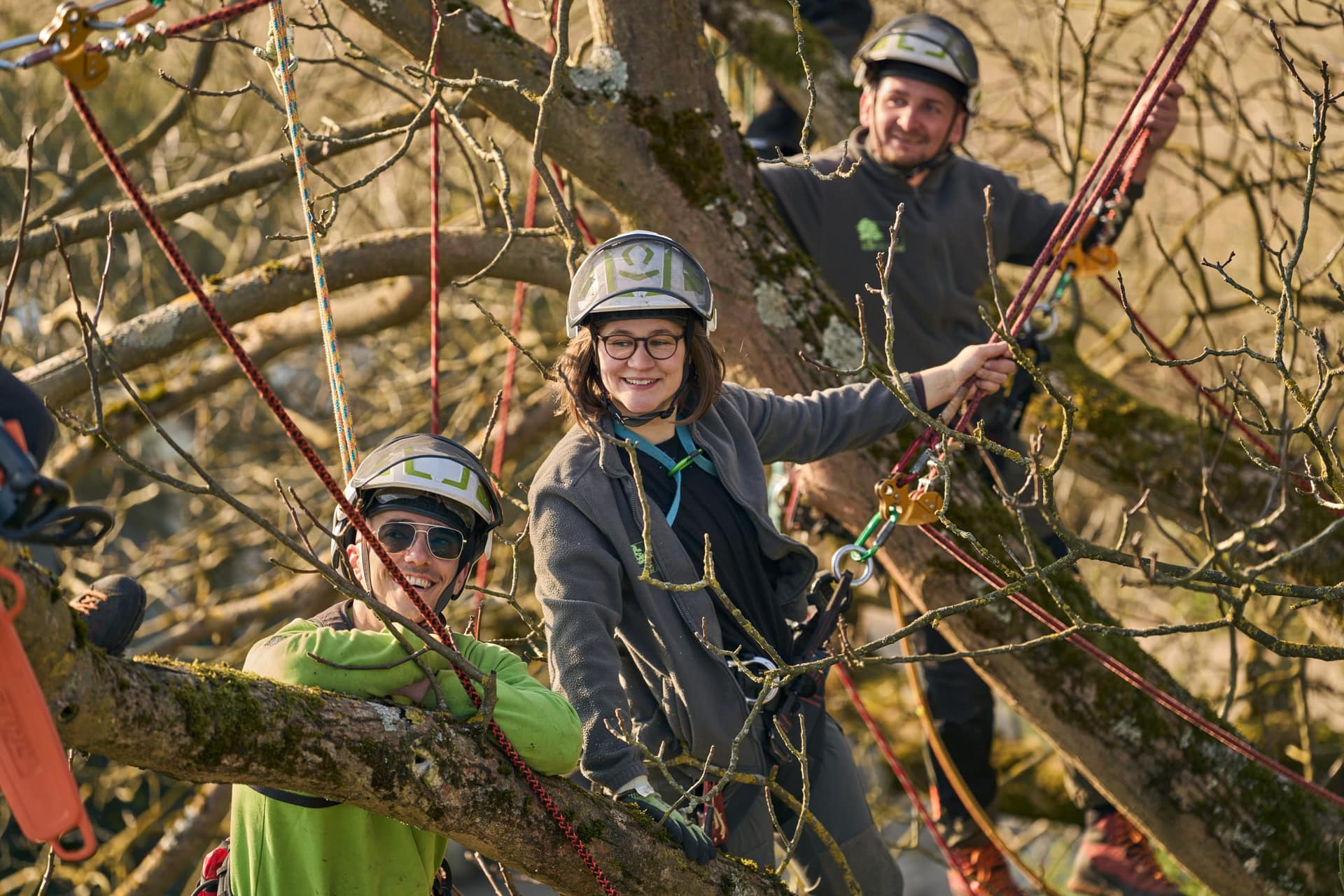 Kletterteam mit Seilklettertechnik in der Baumkrone